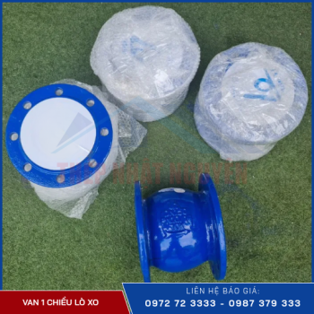Van 1 chiều lò xo